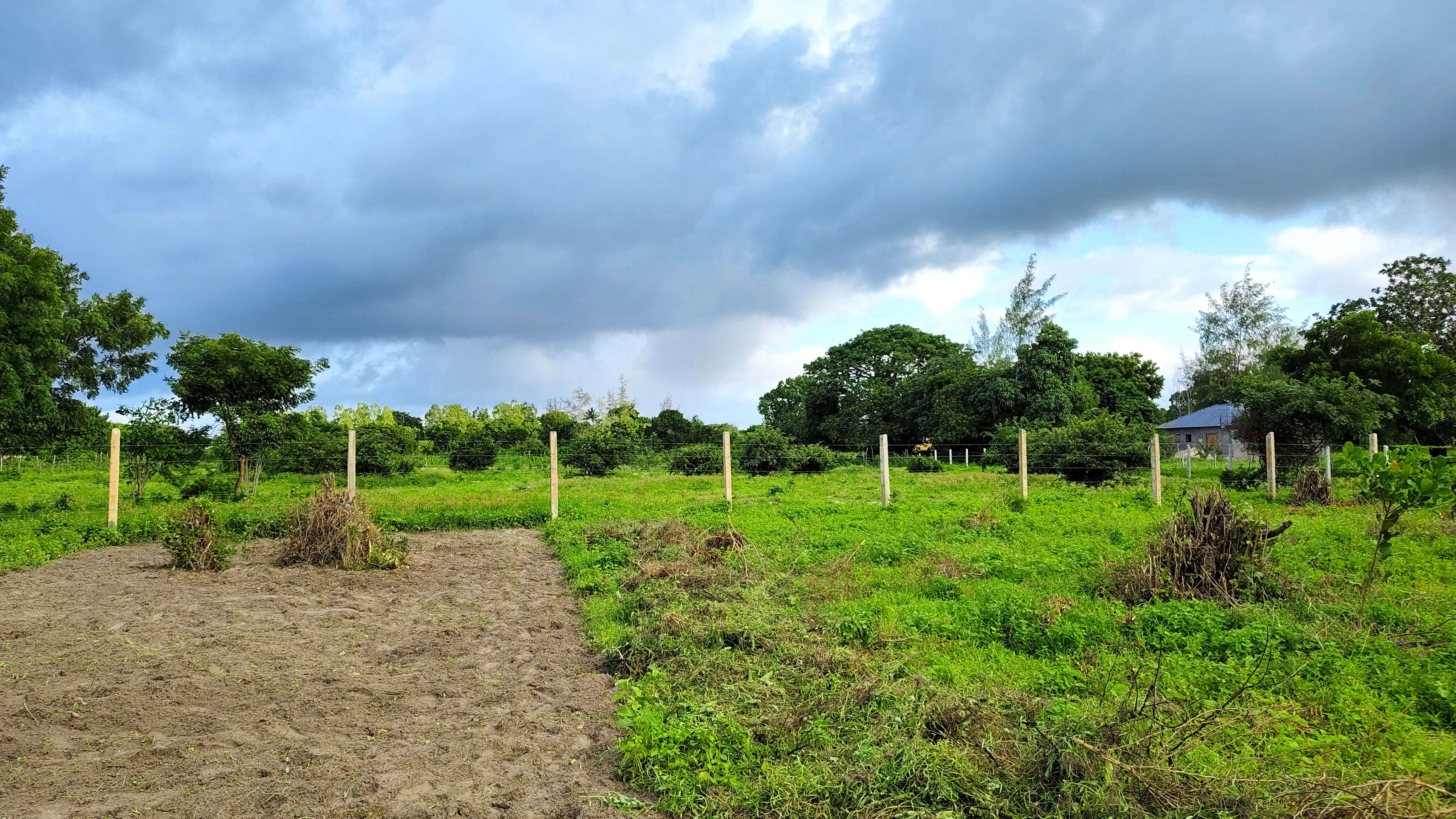 Hossanah Estate, Gede Project Pictorial 