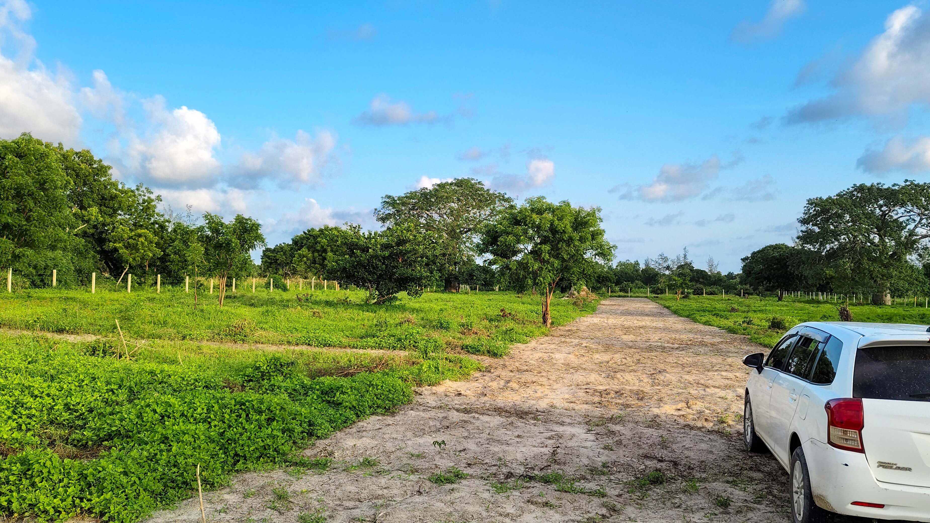 Hossanah Estate, Gede Project Pictorial 